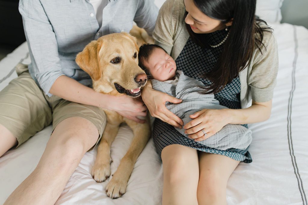 newborn session with pets